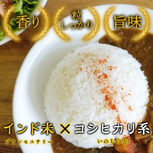 Y186 カレー専用米“プリンセスかおり”5kg（無洗米）