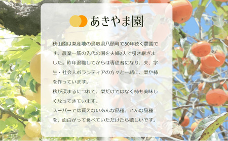 Y032 王秋梨(特秀) 3kg【2026年秋以降発送分】