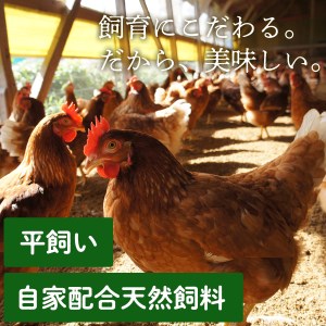 Y203 【大江ノ郷自然牧場】八頭のまごころセット