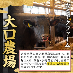 A0-08 ＜5等級＞鹿児島県産黒毛和牛ローストビーフ(250g・専用ソース付き) ふるさと納税 伊佐市 特産品 鹿児島 九州産 牛肉 国産 贈り物 冷凍 冷凍便 【お肉の直売所 伊佐店】