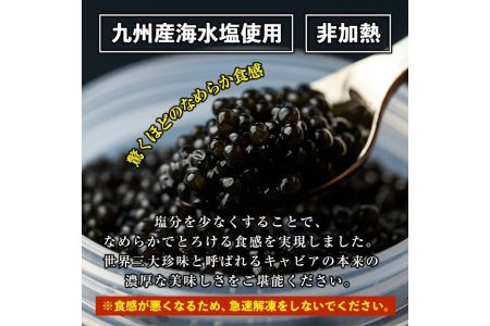 B7-02 純国産フレッシュキャビア(30g・ベステル)＆チョウザメ生スモーク(200g)セット伊佐市 特産品 国産 魚卵 白身 おつまみ 世界三大珍味 グルメ 贅沢 生ハム風 冷燻 加工品 冷凍 冷凍便【小田原養魚】