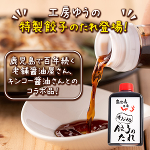 黒豚にんにく餃子 40個 餃子 Z6-01
