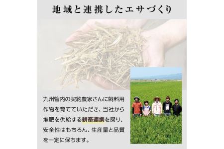 isa172 《毎月数量限定》＜生冷凍＞国産牛・甘熟豚南国スイート合挽きハンバーグ(14個・1個あたり100g) 伊佐市 特産品 国産 国産牛 牛肉 九州産 ブランド豚 豚肉 個包装 手ごね ハンバーグ 焼くだけ 簡単調理 おかず 惣菜 冷凍 冷凍便【お肉の直売所 伊佐店】