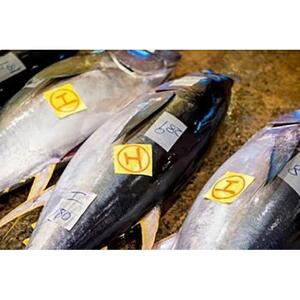 【泊漁港直送】沖縄美ら海まぐろ（皮付き）約5kg　※四つ割り発送（頭・尾無し）｜沖縄　まぐろ　海鮮
