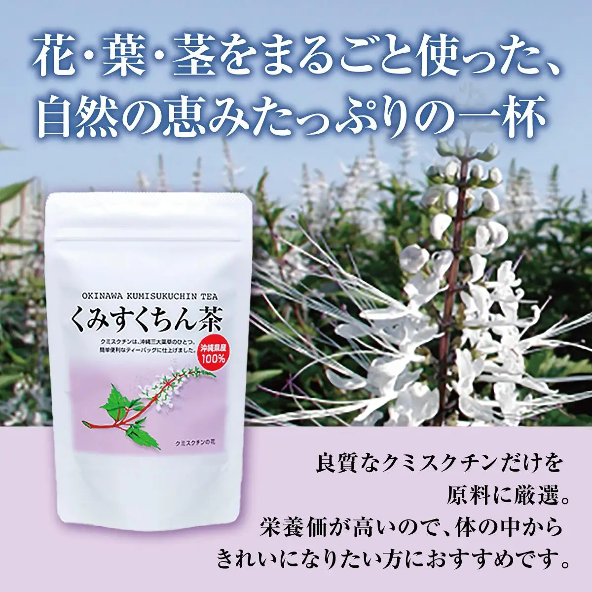 体の中からキレイになりたい方に！　くみすくちん茶TB４袋セット   