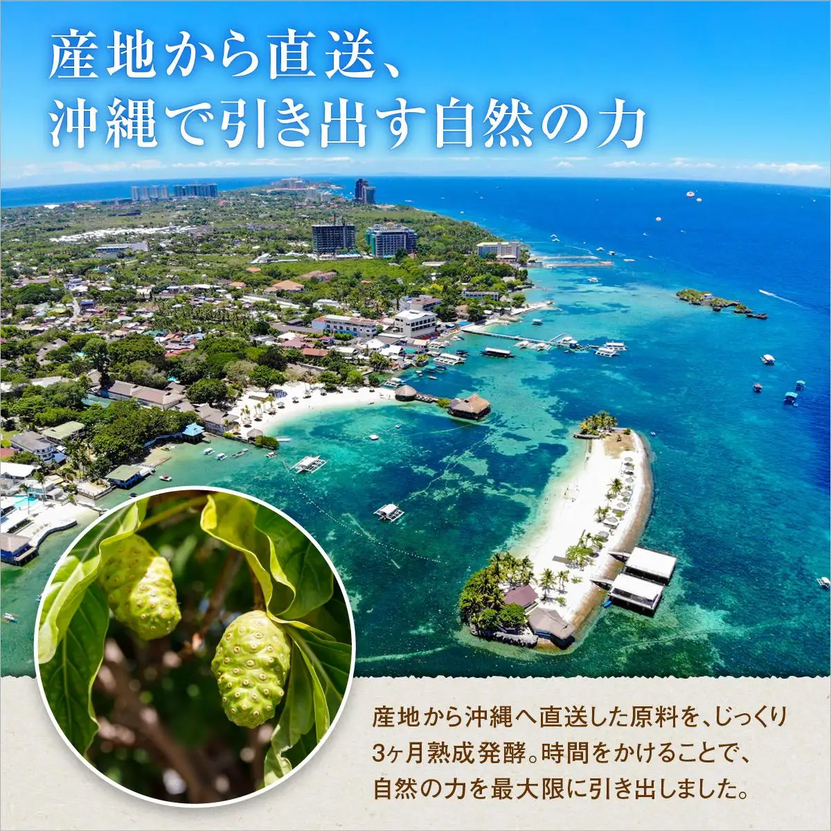 ミラクルノニジュース720ml ３本セット   
