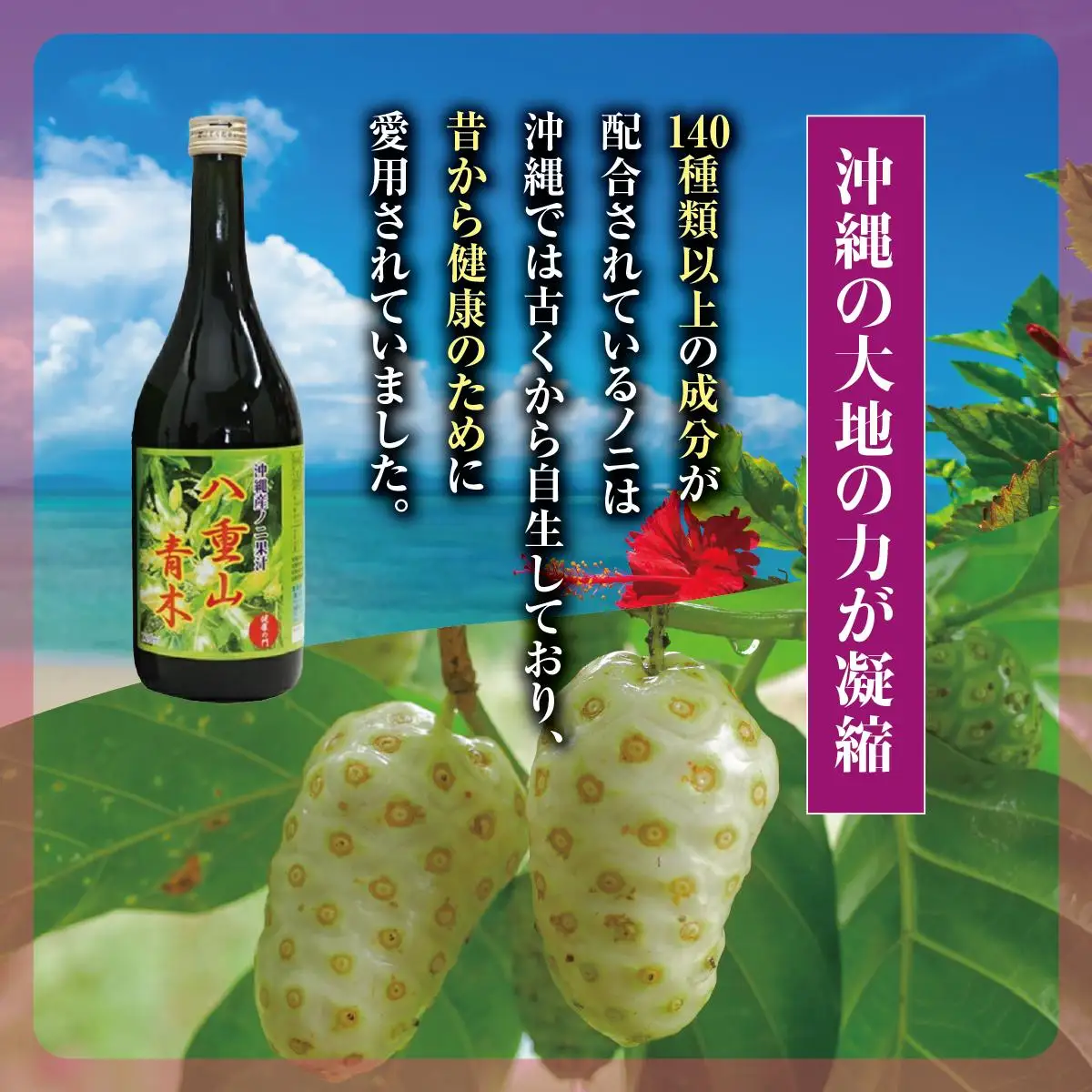 南城ノニ飲み比べセット   I  ノニジュース 飲み比べ セット  健康飲料 発酵 ノニ  沖縄県 南城市