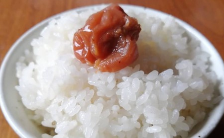 森井ファームのお茶とお米のセット （ティーバック3種×5 精米2合×2） お茶 茶 お米 米 詰め合わせ 詰合せ 贈り物 手土産 お茶詰め合わせ お米詰合せ お茶セット 飲み比べ かぶせ茶 ほうじ茶 京紅茶 ミルキークイーン キヌヒカリ コシヒカリ 005-01