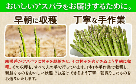 【2026年出荷】アスパラ グリーンアスパラ  約1kg Lサイズ (約38本) 名寄市