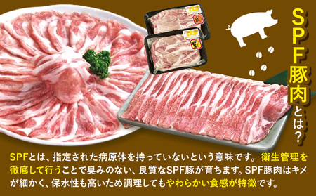 北海道名寄市 鈴木ビビットファームSPF豚肉セット1kg | しゃぶしゃぶ すき焼き 生姜焼き とんかつ 焼肉 ステーキ 国産 冷凍 食品 おかず 食卓 団らん 冷凍 1kg レビュー高評価《30日以内に出荷予定(土日祝除く)》