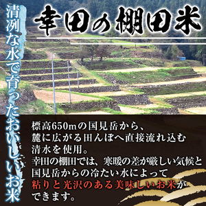 米 令和7年産 鹿児島県産 ひのひかり 10kg 白米 【くりの物産館】_C09