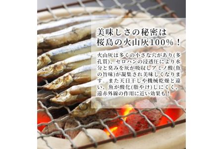 ＜高級手作り干物＞桜島灰干し詰め合わせ 遠赤外線でやわらか！鹿児島県湧水町産にじますの他、季節のお魚を計10袋お届け！ 干物 魚 焼き魚 おかず 晩御飯 晩ごはん 朝食 朝ごはん 朝ご飯 和食 定食 にじます ニジマス 保存料無添加 【福永商店】_y060