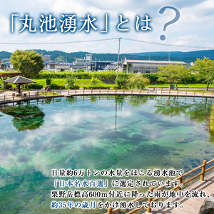 日本名水百選の天然水「丸池湧水」ペットボトル(500ml×40本・計20L) 国産 九州産 鹿児島県産 水 みず 飲料水 名水 湧き水 湧水 500ml 常温 常温保存 ミネラルウォーター 軟水 シリカ水 シリカ サルフェート 【栗太郎館】_y148