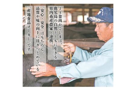 数量限定 鹿児島 黒牛 すきやきセット 計600g 【湧水町JAあいら】 スライス すき焼き用 _y189