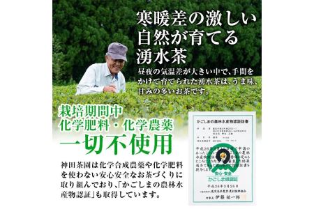 神田茶園×きくすい堂コラボ！一番摘み茶葉使用ティーバッグ(4g×20)上煎茶(100g)ときくすい堂の和洋菓子(7～10個)の詰め合わせ！ホッと一息タイムに！ 和菓子 詰め合わせ 食べ比べ スイーツ お菓子 おかし 饅頭 まんじゅう お茶 茶葉 日本茶 ギフト 贈答 贈り物【神田茶園】_y227