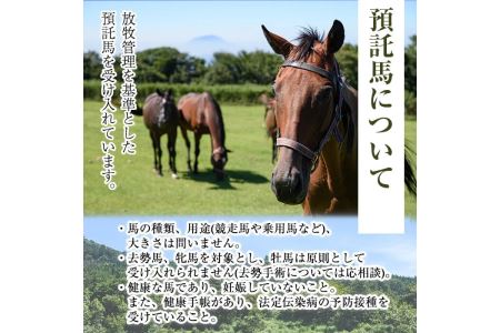 預託チケット！馬匹一頭の通常預託料1ヶ月分に相当するチケット(1枚) 馬 競走馬 競馬 乗馬 乗用馬 預託【NPO法人ホーストラスト】_y240