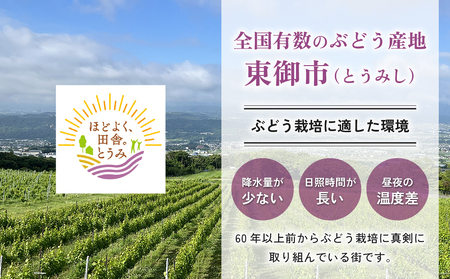 【先行受付2026年発送】東御市産シャインマスカット3kg（5～6房）【秋お届け】 