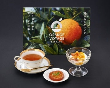 ＜特産品コンクール優秀賞受賞＞屋久島たんかんスライスママレード３個セット