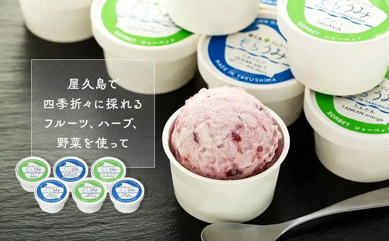 手作り ジェラート 12カップ 詰め合わせ セット＜屋久島産の新鮮食材を使用＞ | ジェラート ジェラート ジェラート ジェラート ジェラート
