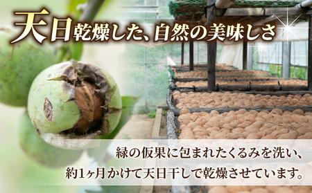 MARIKURI商品 25年 長野県 東御市 信濃くるみ サイズ小10kg 殻つきくるみ約1.4kg（2026年収穫分）｜JA信州うえだ東部地区営農課