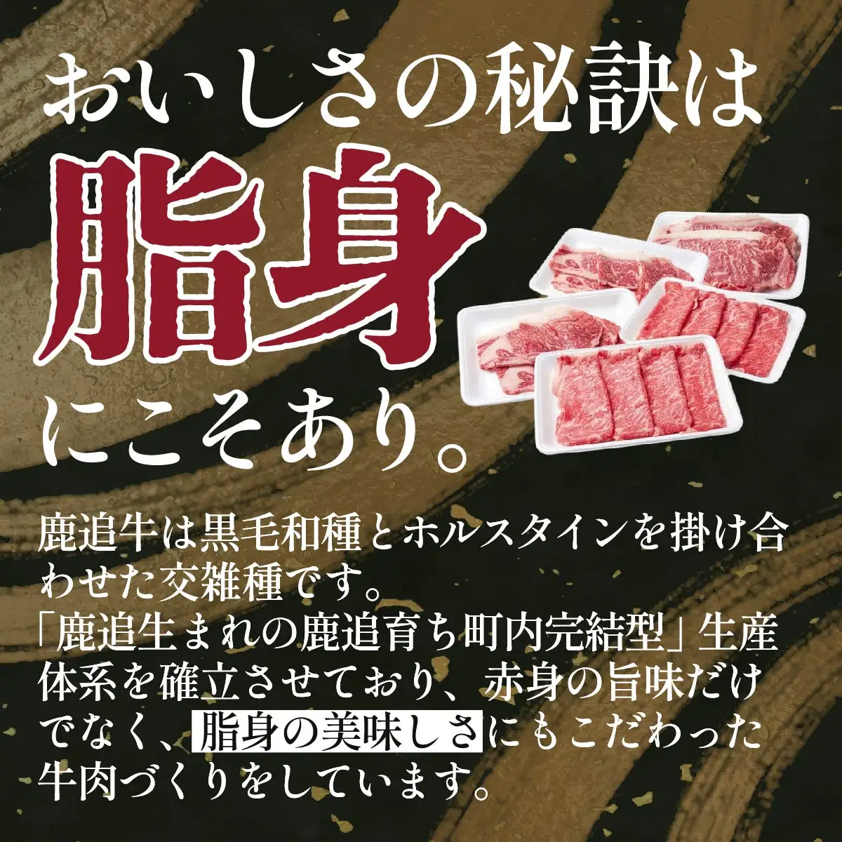 鹿追牛　スペシャルセット 2,520g SKA018 【 すき焼き 焼肉 大容量 ミート 北海道  送料無料 】
