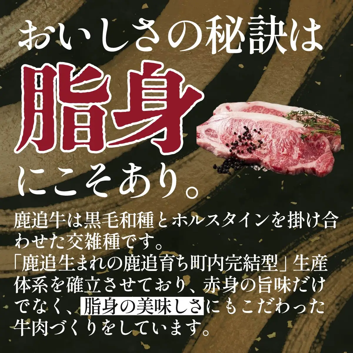 鹿追牛ロースステーキ（Dセット） 225g×2 SKA008 【 人気 おすすめ  北海道  送料無料 】