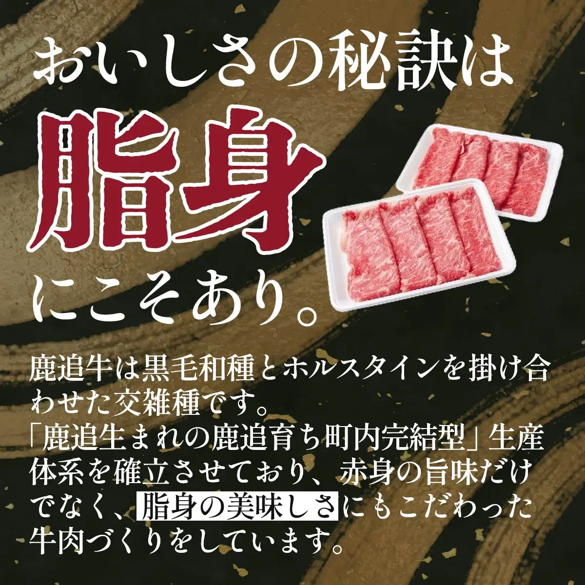 鹿追牛しゃぶしゃぶ用（Eセット） 225g×2 SKA001 【 人気 おすすめ  北海道  送料無料 】