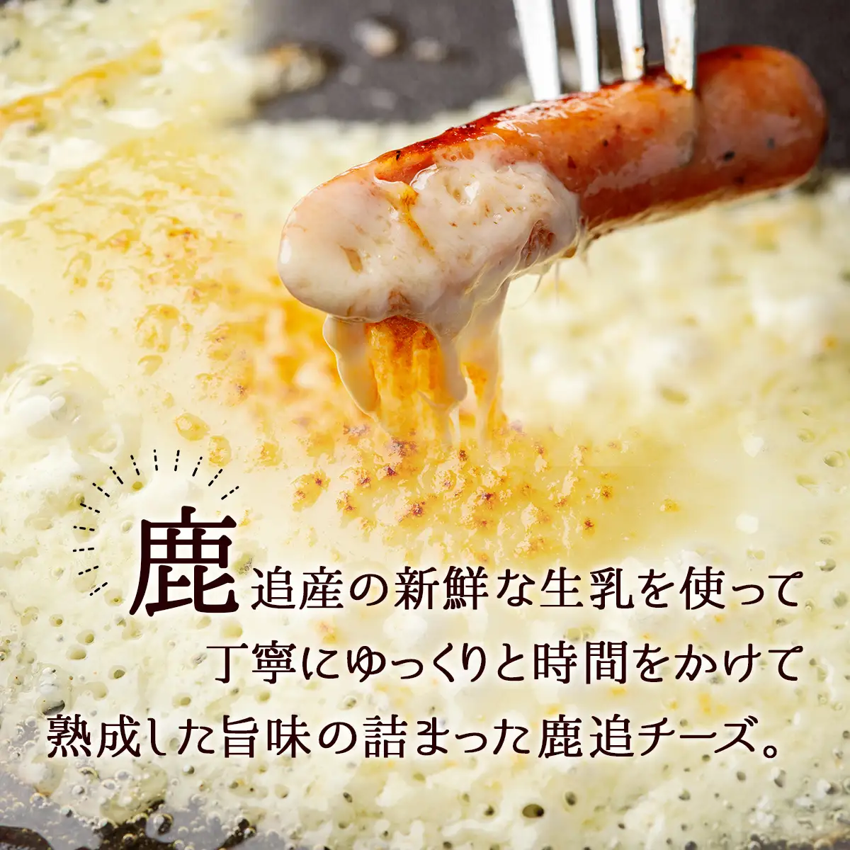 チーズ・ソーセージギフト 【 人気  北海道  送料無料 】 SKH001