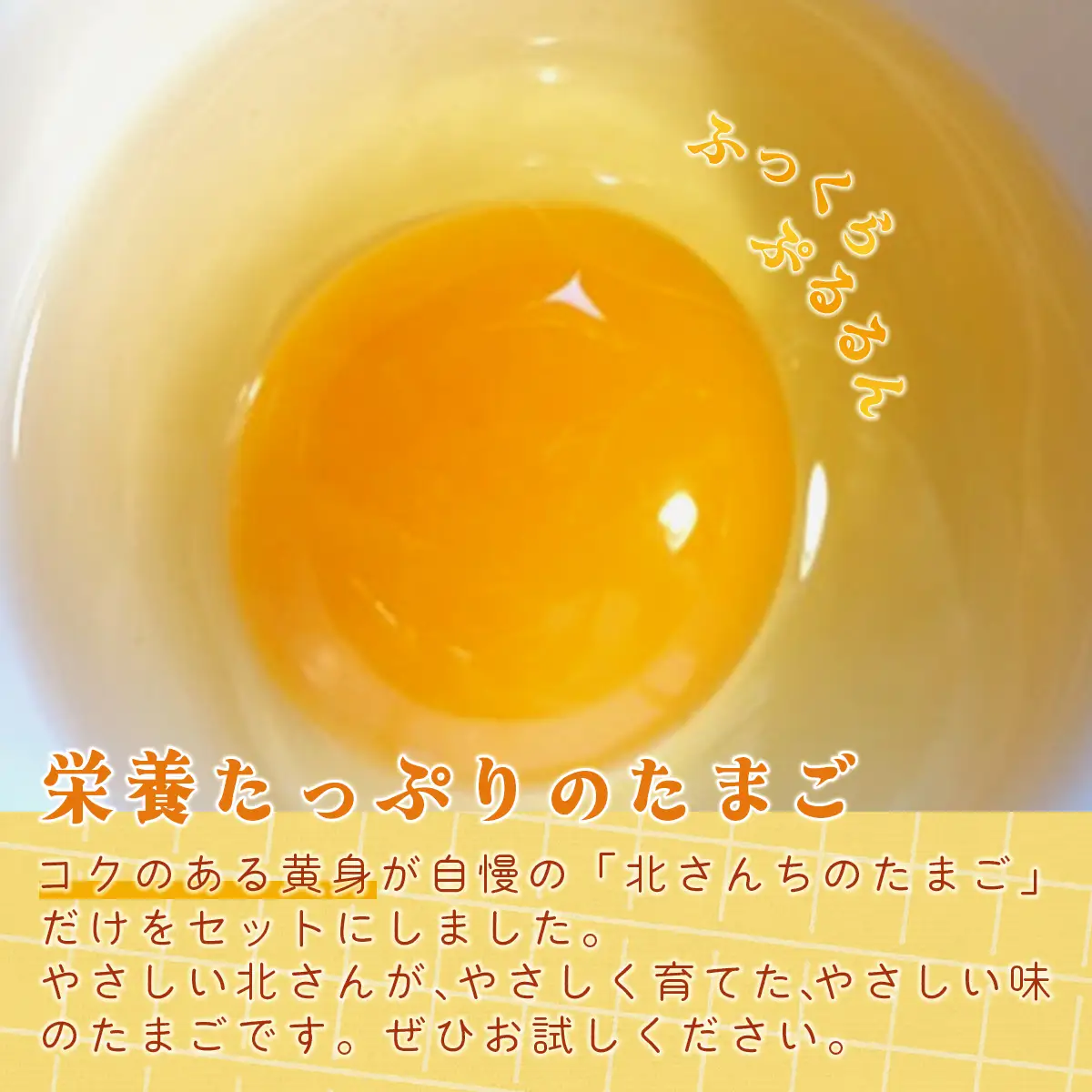 ぜーんぶ、北さん家のたまご 【 北海道 鹿追町 送料無料 】 SKL004