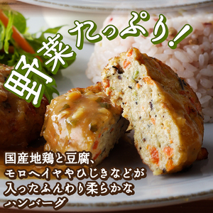 豆腐と地鶏のハンバーグと梅味噌ソース6個入り（11）〈レトルト〉