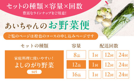【12品】農薬に頼らない！カラダにやさしい「よしのがり野菜」セット（レギュラー）吉野ヶ里あいちゃん農園  [FAA005]