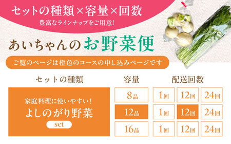 【12品 / 12回定期便】「よしのがり野菜」セット（レギュラー） [FAA006]