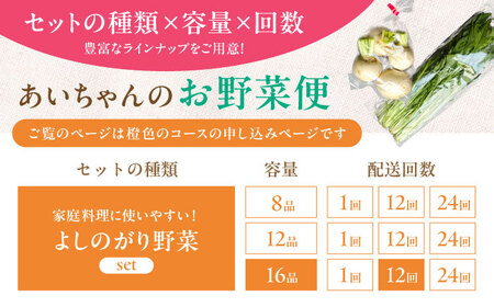 【16品 / 12回定期便】「よしのがり野菜」セット（ラージ）[FAA010]