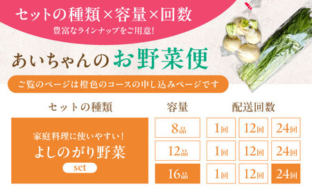 【16品 / 24回定期便】農薬に頼らない！カラダにやさしい「よしのがり野菜」セット（ラージ）[FAA011]