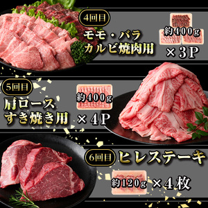 【G01001】＜定期便・全12回＞鹿児島県産黒毛和牛おまかせ定期便 鹿児島 牛肉 黒毛和牛 シャトーブリアン サーロインステーキ リブロース カルビ 焼肉 すき焼き 定期便【新村畜産】