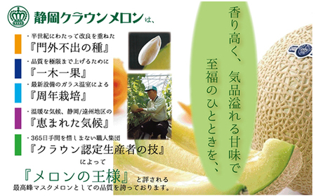 メロン 定期便 12ヶ月 クラウンメロン 山等級 名人 1玉 桐箱 フルーツ 果物 高級フルーツ フルーツ定期便 マスクメロン 静岡メロン 静岡県 浜松市 12回 定期