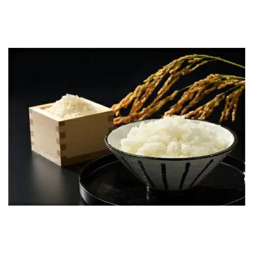 無洗米 令和7年産 コシヒカリ 5kg + 多珂うどん(太) 5束セット｜無洗米 南相馬 お取り寄せ
