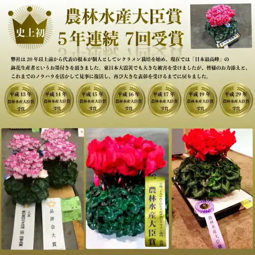 【2026-27年 先行予約】季節の花 定期便 6回 (12-5月) 色おまかせ 根本園芸 ｜ 花ギフト定期便