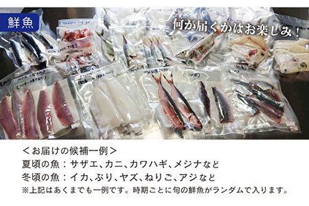 五島よかとこ便 特選鮮魚入り 野菜 加工品 おまかせ お楽しみ セット 五島市 / GOTO challenged 椿 [PDU002]