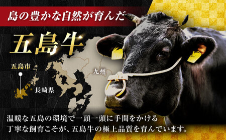 五島牛焼肉700g（肩ロース300g/バラ 400g） 五島市/ごとう農業協同組合[PAF001]焼肉冷凍 国産牛 牛肉 ブランド牛 焼き肉 セット