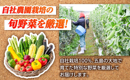 旬の野菜セット（7-10品目10kg未満）五島市/やぁしゃ便 [PBG003] 