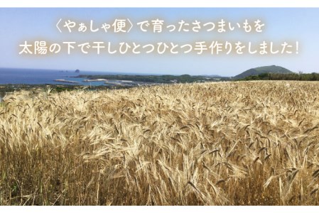 【こだわり農家がつくる五島の伝統和菓子！】かんころ餅 3種セット 計6本 五島市/やぁしゃ便 [PBG005]  かんころ もち 餅 おやつ さつまいも 和菓子