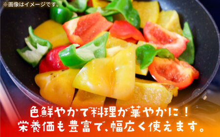 【肉厚ジューシー】五島のパプリカ 約2.7kg 五島市/HPIファーム  [PCP003]  野菜 やさい 国産 新鮮 緑黄色野菜 産地直送 とれたて