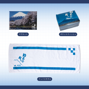 「日本一に会う。」富士山グッズの詰め合わせ ボールペン マグネット ポストカードセット USBメモリ タオル 付箋セット ポケットティッシュ 富士山湧水（500ml×4本） かぐや姫シール 詰め合わせ お楽しみ 日用品 文房具 富士市 [sf002-015]