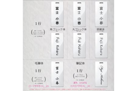 ONE-PIECE手配書ネームタグ（ケース付き）（1253）