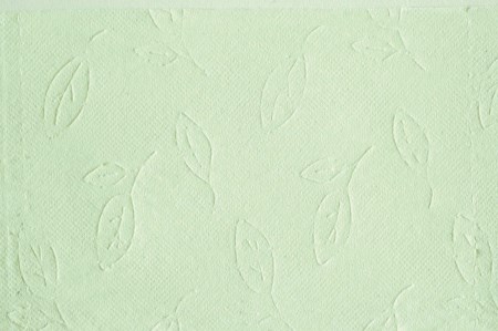 トイレットペーパー 「緑茶の力」 ダブル 72個 (12ロール × 6パック) (1ロール 35m) 長巻 ふっくら 柔らか エンボス 静岡 緑茶の香り ロングセラー ソフト 消臭 芳香 丸富製紙 富士市 日用品 生活用品 生活雑貨 防災 備蓄 香り・消臭 72ロール [sf002-065]