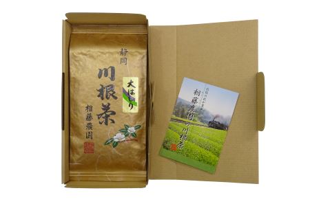 11-42 大はしり100ｇ袋2本詰合せ