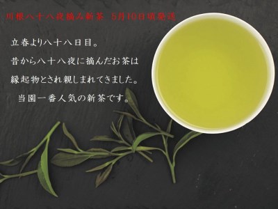33-7 新茶 静岡川根茶八十八夜摘み100ｇ×9本