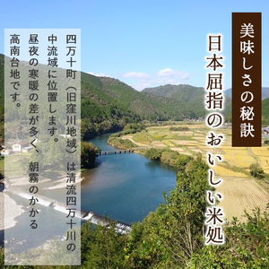 ◎令和7年産◎こだわりの味！人気の品種　井上米穀店さんの「にこまる」 農家 こだわり お米 ブランド米 ／Bib-B06
