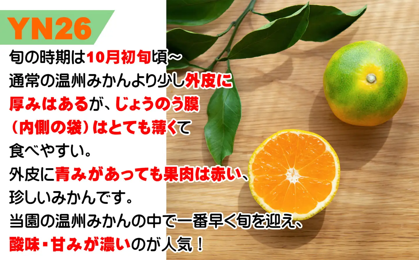 【極早生みかん】ゆら早生みかん 3kg 小玉サイズ（S・2S） 和歌山県海南市産 産地直送 YN26